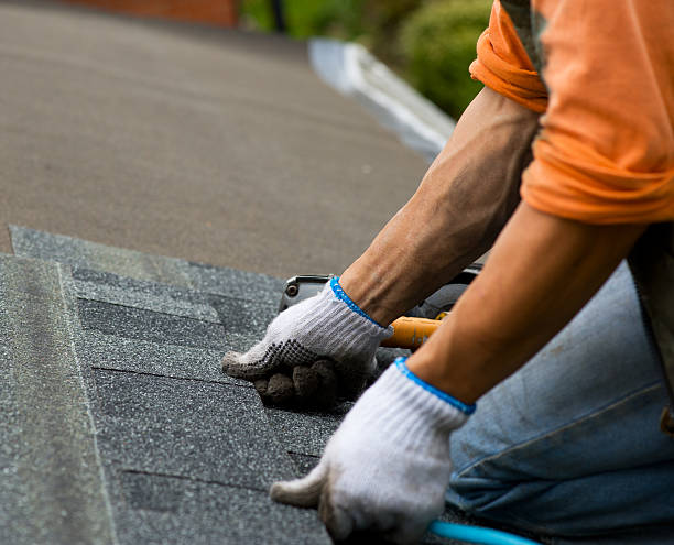 Best Roof Repair Services  in Green Valley, CA